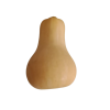 butternut_2-removebg-preview_2123935707