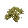 chasselas_dore