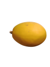courge_spaghetti-removebg-preview