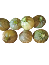 courgettes_rondes_de_nice-removebg-preview