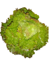 grenobloise-removebg-preview_1