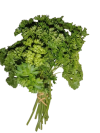 persil_frise-removebg-preview