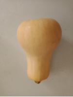 butternut_2