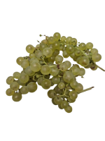 chasselas_dore
