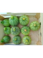 courgettes_rondes