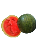 pasteques-removebg-preview