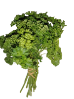 persil_frise-removebg-preview