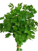 persil_plat-removebg-preview