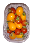 tomates_cerise_en_mlange
