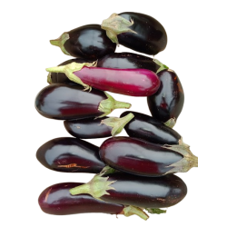 aubergines-removebg-preview