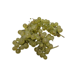 chasselas_dore