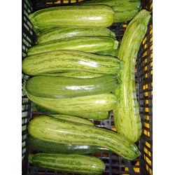 courgettes_nimba
