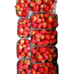 fraises-removebg-preview