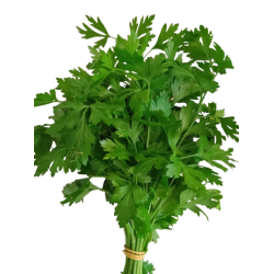 persil_plat-removebg-preview