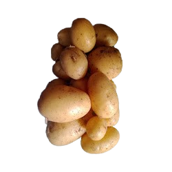 pommes_de_terre-removebg-preview