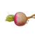 navet_rose-removebg-preview