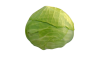 chou_vert-removebg-preview_1527072511