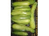 courgettes_nimba