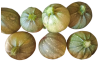 courgettes_rondes_de_nice-removebg-preview