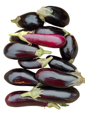 aubergines utilisées dans l'aubergine