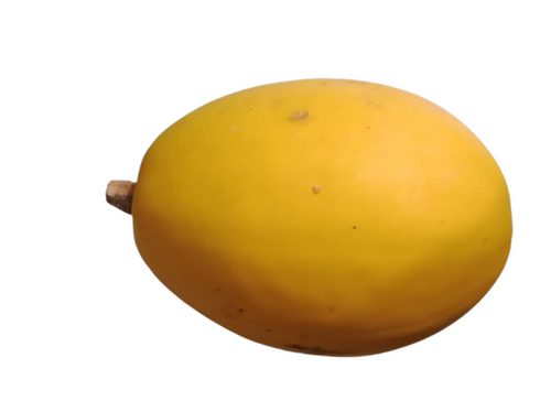 courge spaghetti, 