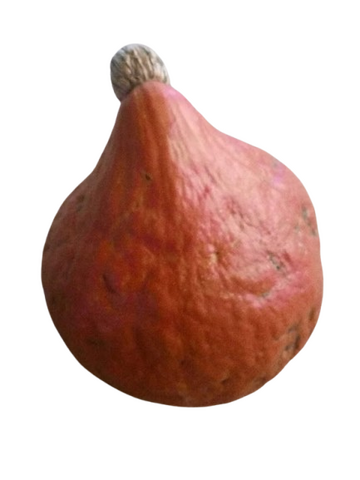 potimarron