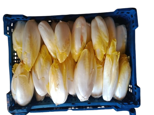 endives