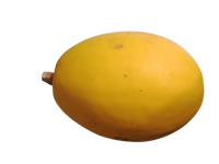courge spaghetti